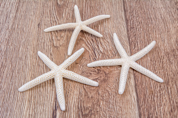 White starfishes on a wooden background