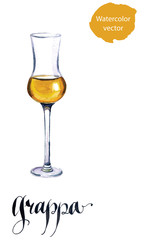 Glass of Italian grappa brandy - obrazy, fototapety, plakaty