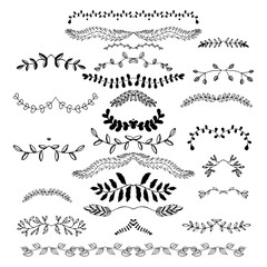 Hand drawn floral borders, dingbats, dividers, wreaths