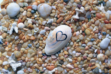 sea vacation, love to the sea, honeymoon background, stones, pebbles and seashells