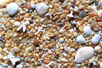 sea vacation, pebbles and sea shells on the beach for background