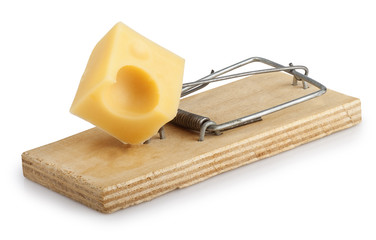 Mousetrap with cheese isolated on white