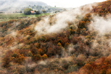 Ochagavia Fog Autumn