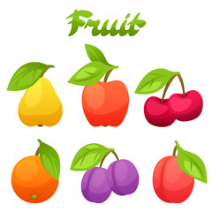 Set of stylized fresh fruits on white background
