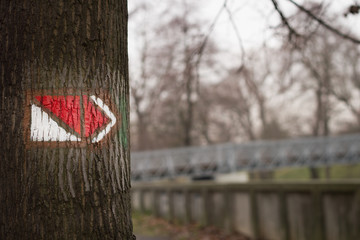 Red and white tourist sign mark on the old tree in the huge forr