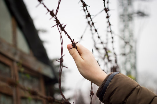Refugee trying to climbing the barbed wire; trying to break free