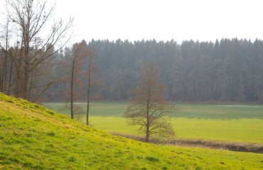 Fototapeta na wymiar Hügelige Landschaft mit Wiesen, Wald und Bach