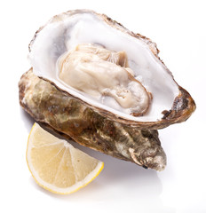 Raw oyster and lemon on a whte background.