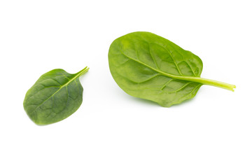Spinach on the isolated white.