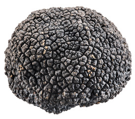 Black truffle. File contains clipping paths.