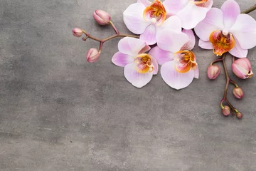 Foto op Canvas Spa orchidee thema objecten op grijze achtergrond. © gitusik