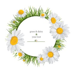 summer print with daisies