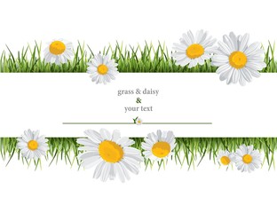 summer print with daisies