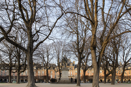 Vosgos 이미지 찾아보기 3 스톡 사진, 벡터 및 비디오 Adobe Stock