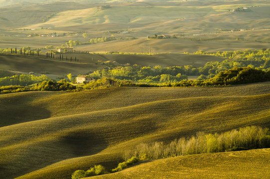 Tuscany Landscape,autumn field