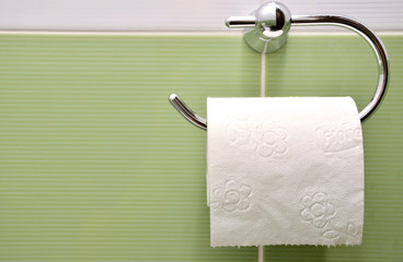 Roll of white toilet paper on metal paper holder
