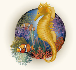Underwater card with seahorse, vector