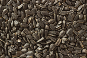 Macro background of sunflower seeds and wooden spoon