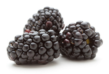 Blackberries isolated on white background