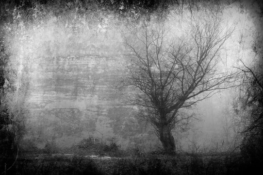 Art grunge landscape in black and white