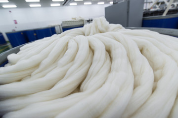 Wool tops for spinning process