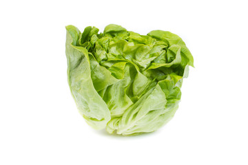 fresh lettuce salad - isolated on white