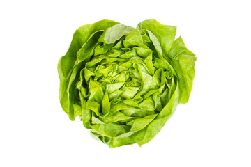fresh lettuce salad - isolated on white, top view