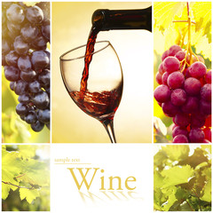 Fototapeta premium Collage with beautiful wine images, outdoors.