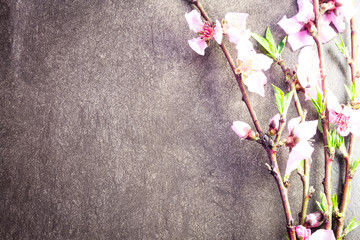 Fototapeta na wymiar Branch with peach flowers on flat stone background 