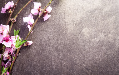 Fototapeta na wymiar Branch with peach flowers on flat stone background 