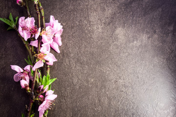 Naklejka na ściany i meble Branch with peach flowers on flat stone background 