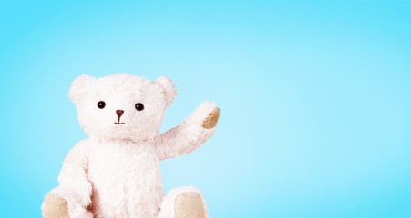 White teddy bear isolated on light blue background. with copy space.
