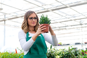 Young florist  working in greenhouse