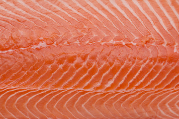 Fresh roe salmon fillet