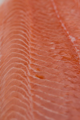 Fresh roe salmon fillet