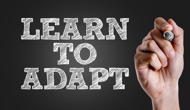 Hand writing the text: Learn to Adapt