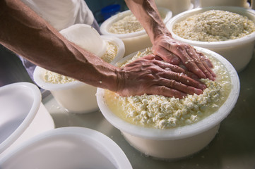 Cheesemaker boiling milk into the mixing pot for making cheese