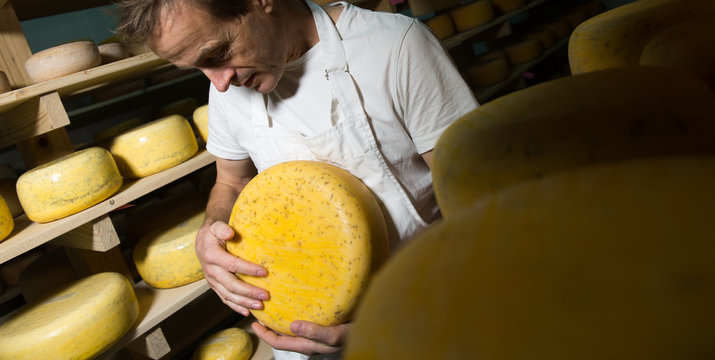 Cheese maker cleaning cheeses in his workshop