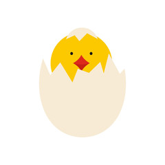 Yellow newborn chicken hatched from the egg icon