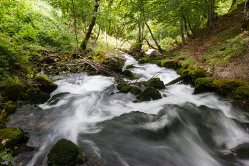 Fototapeta premium Mountain river and mossy stones In the forest.
