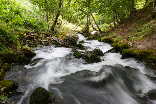 Mountain river and mossy stones In the forest.