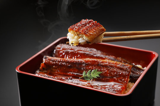 うな重　Broiled eel served over rice a lacquered box