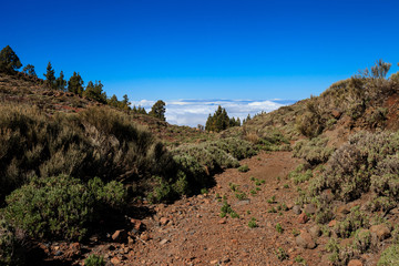Beautiful Tenerife volcano - El Teide