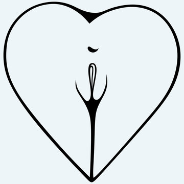 Female ass in the form of heart. Body part XXX. Isolated on blue background. Vector silhouettes