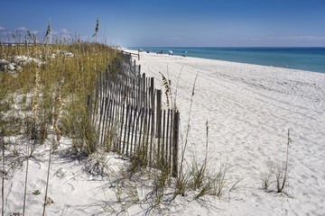 Sand Fences Protect Dunes at the Beach