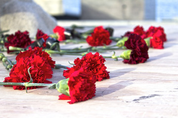 Fototapeta na wymiar Red carnations on the monument and flowers. Horizontal shot, theme - flowers, nature.