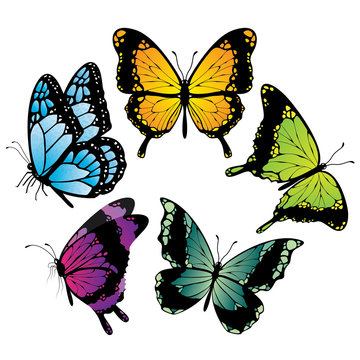 Butterfly Vector Icons
