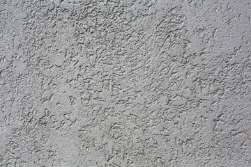 grey background wall (concrete).