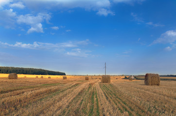 Fototapeta na wymiar Straw rolls in the field