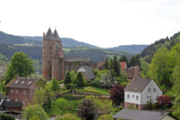 Fototapeta na wymiar Blick auf Mürlenbach und Bertradaburg